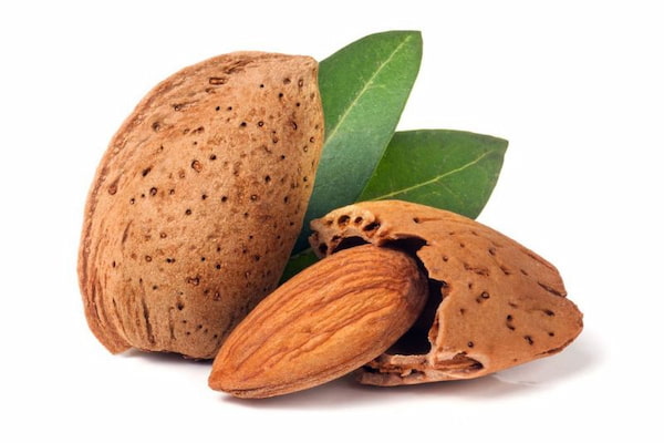 تصویر 5 از خرید بادام پوست دار + قیمت فروش استثنایی